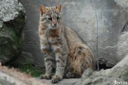 Zoo Jihlava
