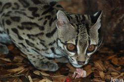 Zoo Jihlava