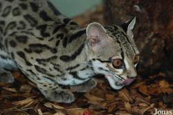 Zoo Jihlava