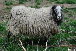 Zoo Jihlava