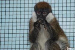 Zoo Jihlava
