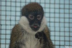 Zoo Jihlava