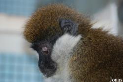 Zoo Jihlava