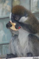 Zoo Jihlava
