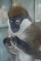 Zoo Jihlava