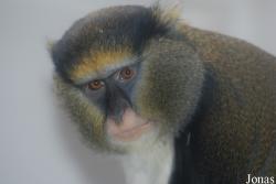 Zoo Jihlava