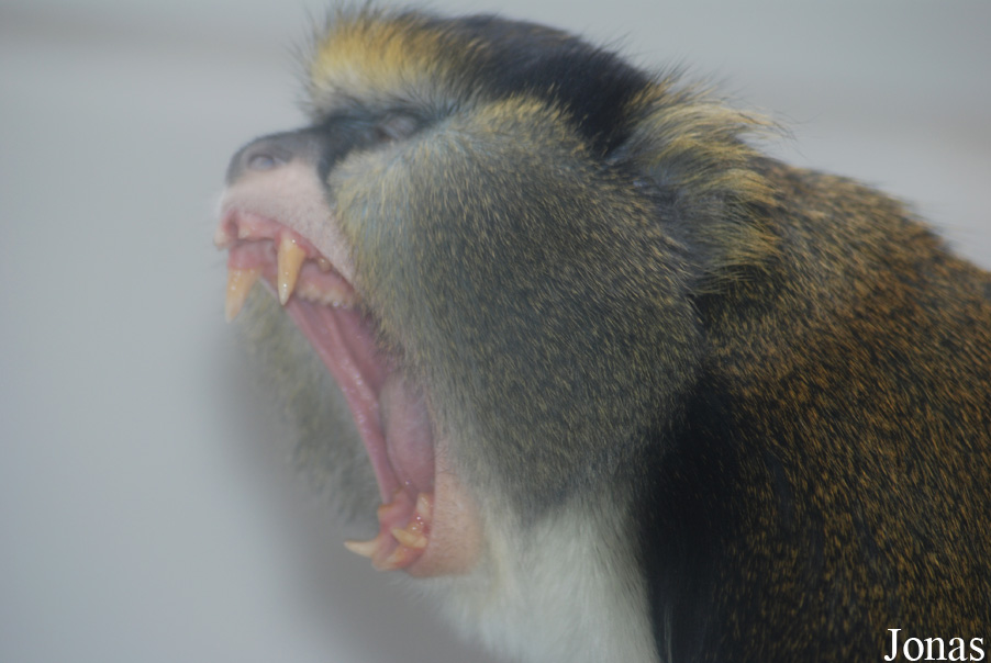 Zoo Jihlava
