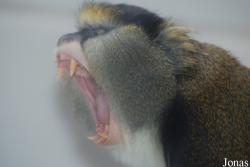 Zoo Jihlava