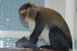 Zoo Jihlava