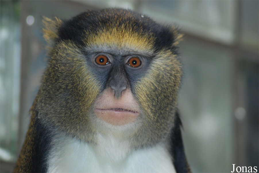 Zoo Jihlava