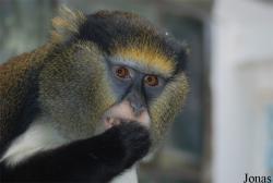 Zoo Jihlava
