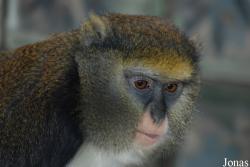 Zoo Jihlava
