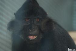 Zoo Jihlava