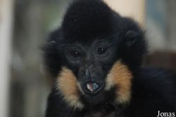 Zoo Jihlava
