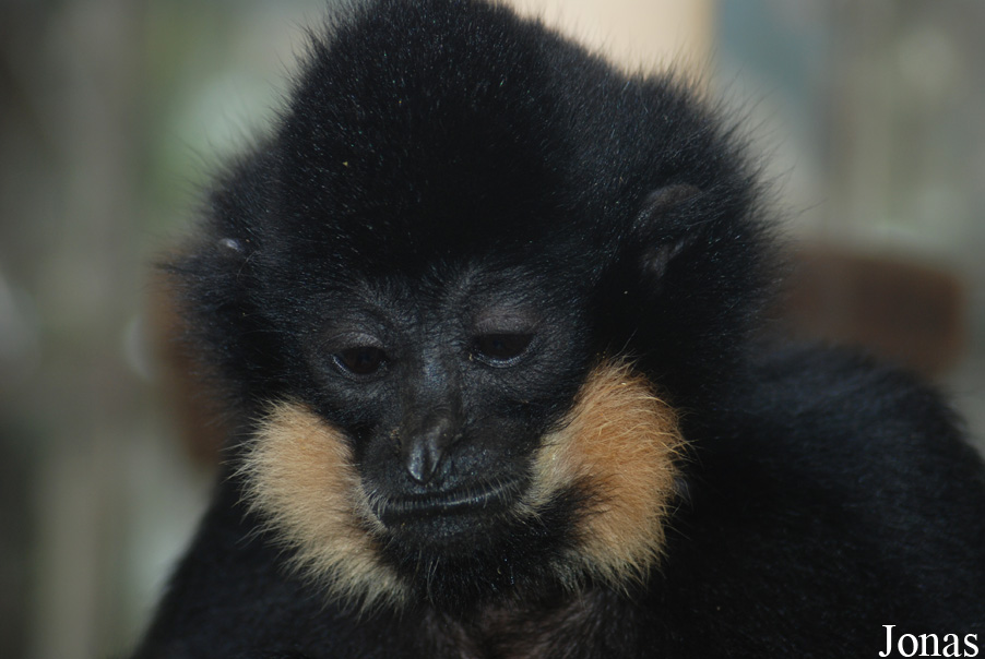 Zoo Jihlava