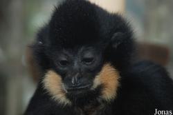 Zoo Jihlava