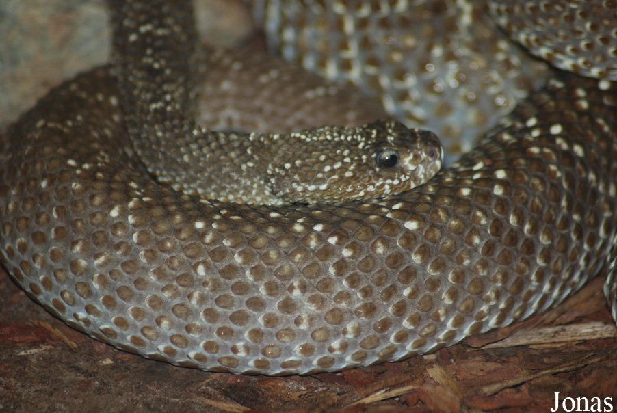 Zoo Jihlava