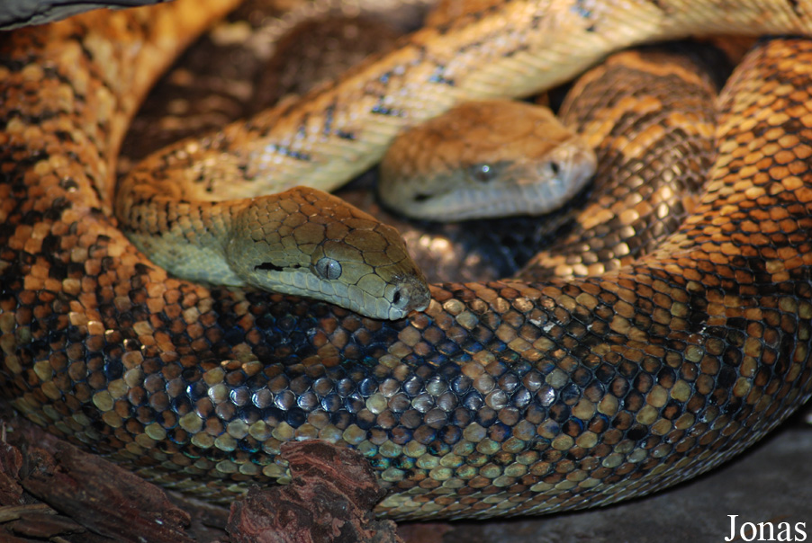 Zoo Jihlava