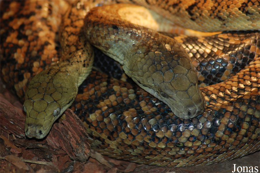 Zoo Jihlava