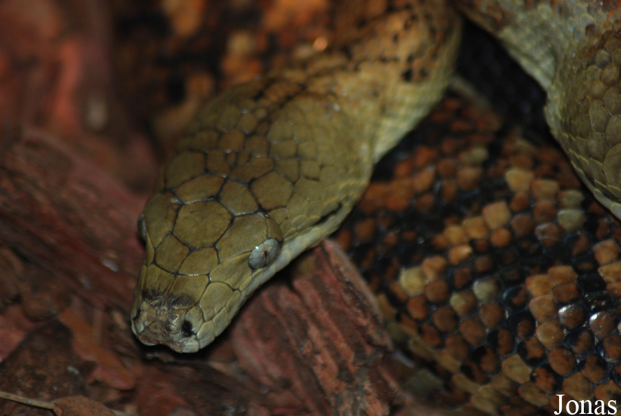 Zoo Jihlava
