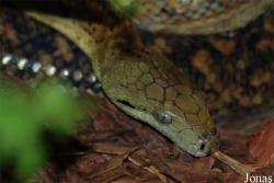 Zoo Jihlava