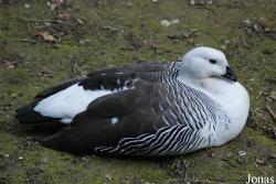 Zoo Jihlava