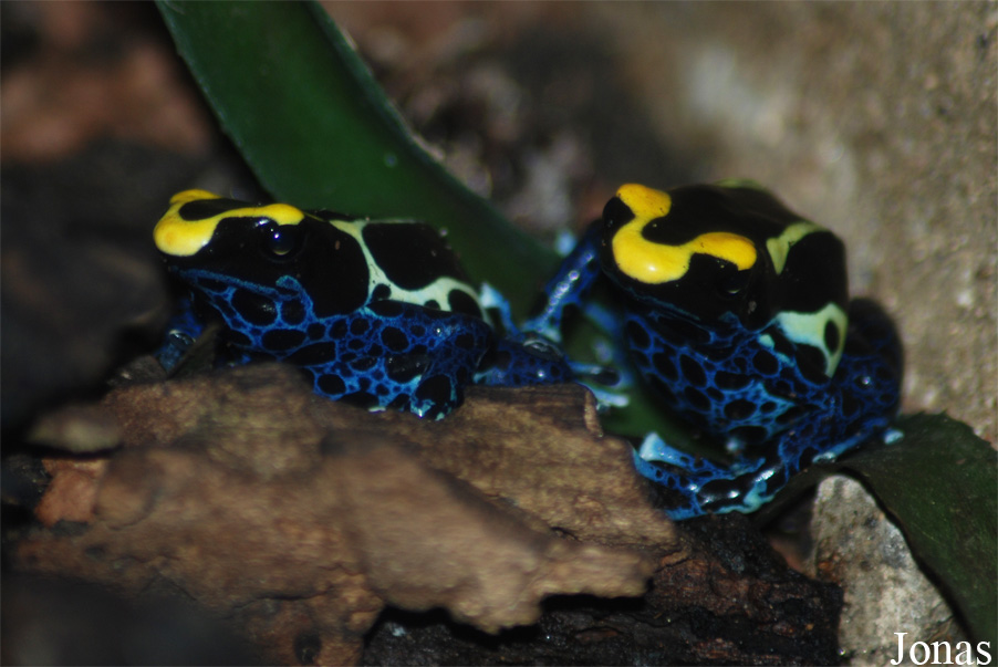 Zoo Jihlava