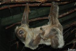 Zoo Jihlava