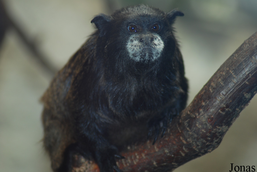 Zoo Jihlava