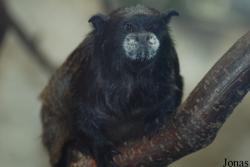 Zoo Jihlava