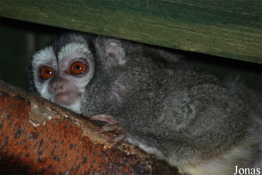 Zoo Jihlava