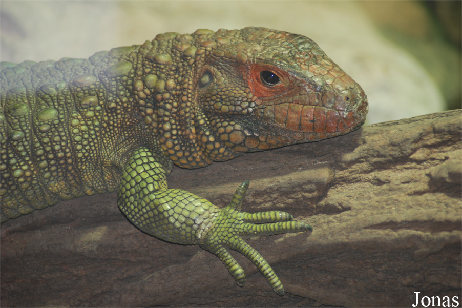 Zoo Praha