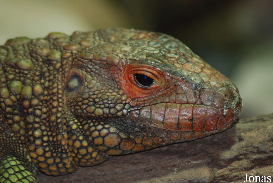 Zoo Praha