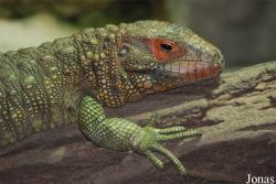 Zoo Praha
