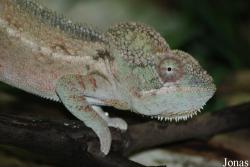 Zoo Praha