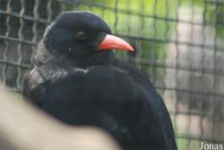 Zoo Praha