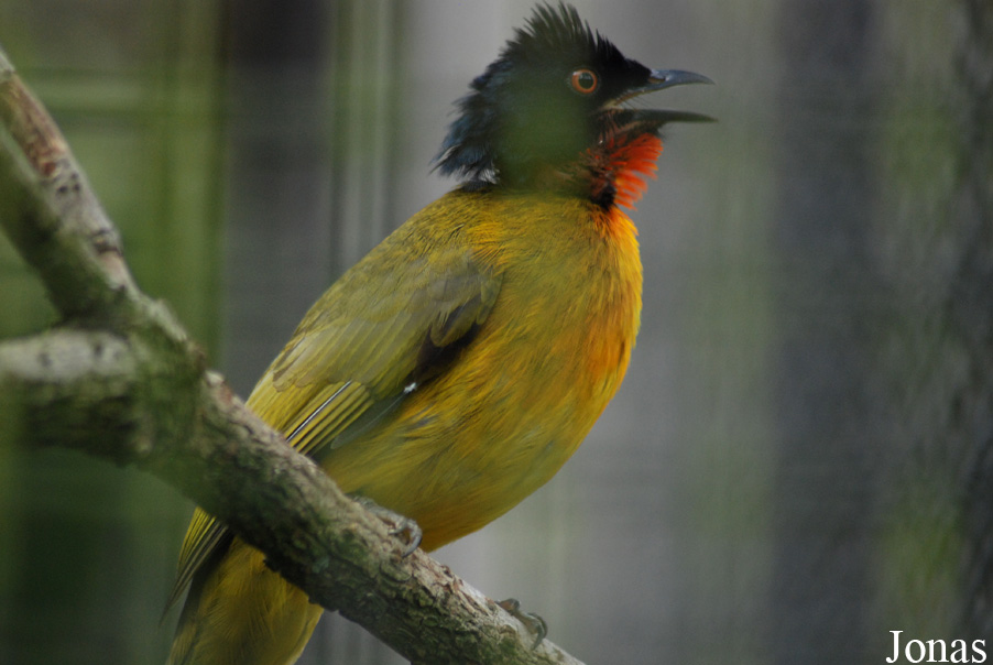 Zoo Praha