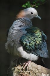 Zoo Praha
