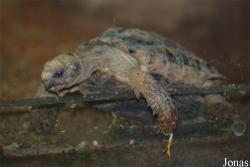 Zoo Praha