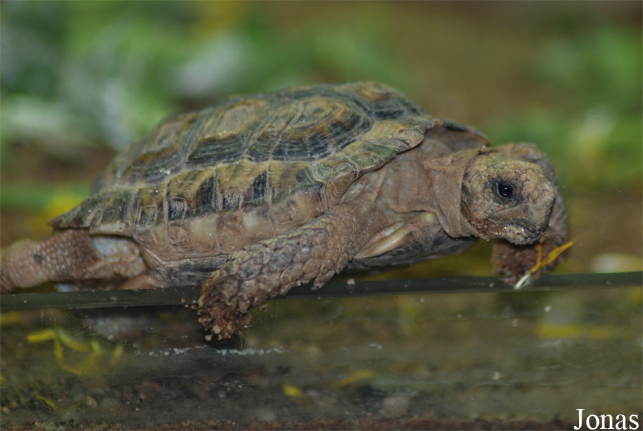 Zoo Praha