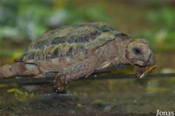 Zoo Praha
