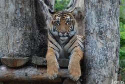 Zoo Praha