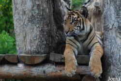 Zoo Praha