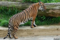 Zoo Praha