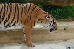 Zoo Praha