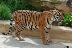 Zoo Praha