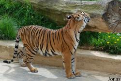 Zoo Praha