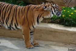 Zoo Praha