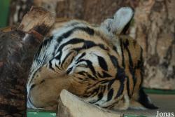 Zoo Praha