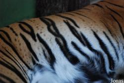 Zoo Praha